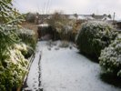 Garden Snow