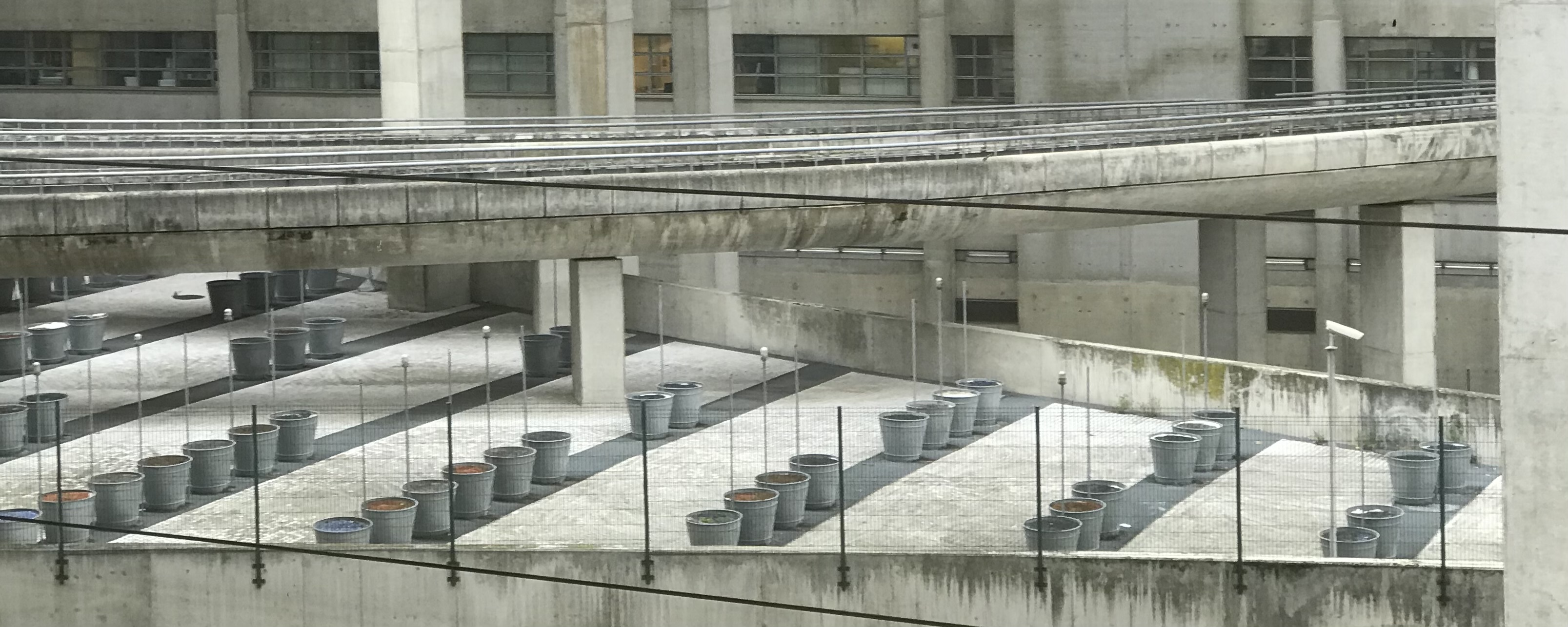 CDG airport, terminal 2f: Urban gardening installation with rows of gray plastic pots arranged in neat lines on a concrete surface within what appears to be a brutalist architectural setting. The concrete structure has several levels with pillars and overhead cables visible.